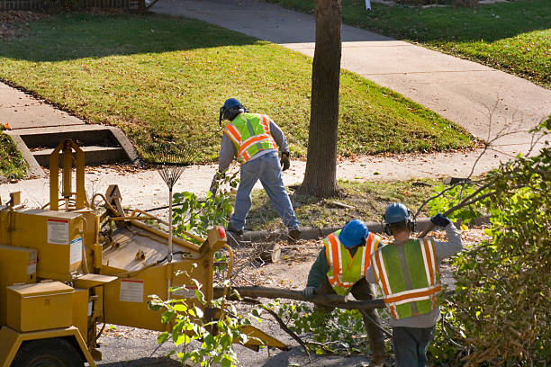 Best Lawn Watering Services  in Cudahy, CA